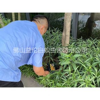 佛山园林灭治白蚁工程