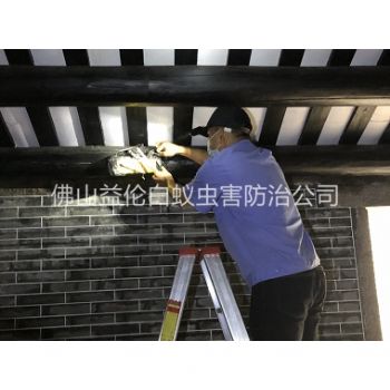 迳口祠堂杀灭白蚁工程