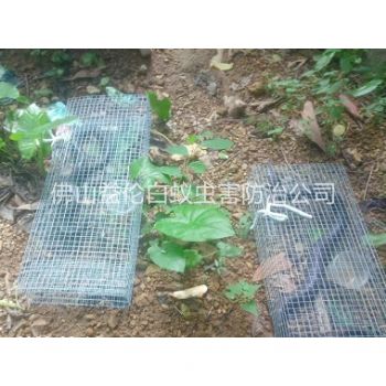 南山驱蛇防蛇工程