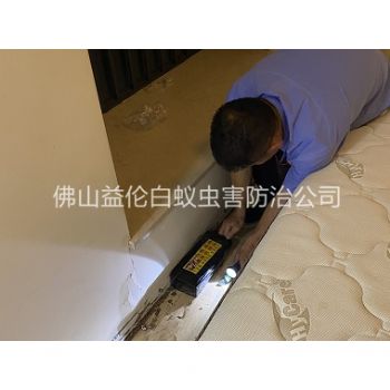 西南家居白蚁灭治工程