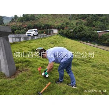 范湖水利工程红火蚁防治